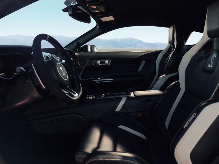 2020 Ford Mustang Shelby GT500 All Black Interiors