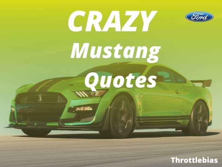 Ford Mustang Quotes