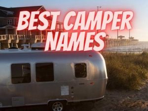 Camper names