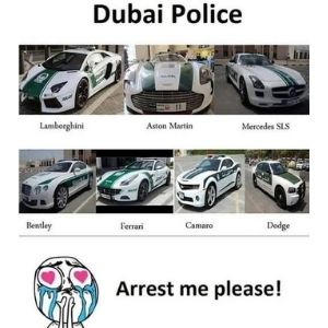 Dubai Police Car Collection