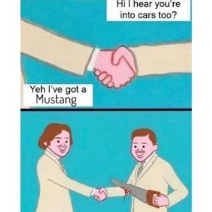 Funny Mustang Memes