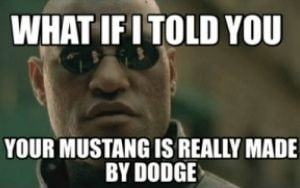 Mustang MIB Meme