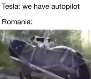 Tesla autopilot meme