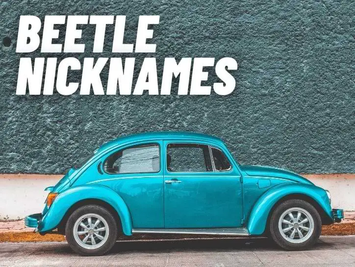 Beetle Nicknames