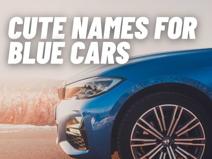 Cute Names For Blue Cars