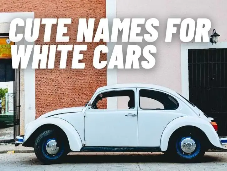 Cute Names For White Cars